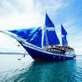 Dive trip with TemuKira - 7 nights Dive trip with TemuKira - 7 nights
