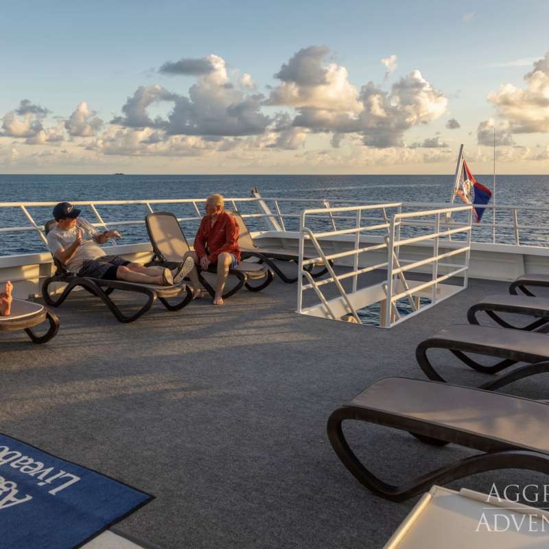 Belize Aggressor 4