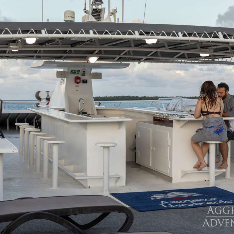 Belize Aggressor 4