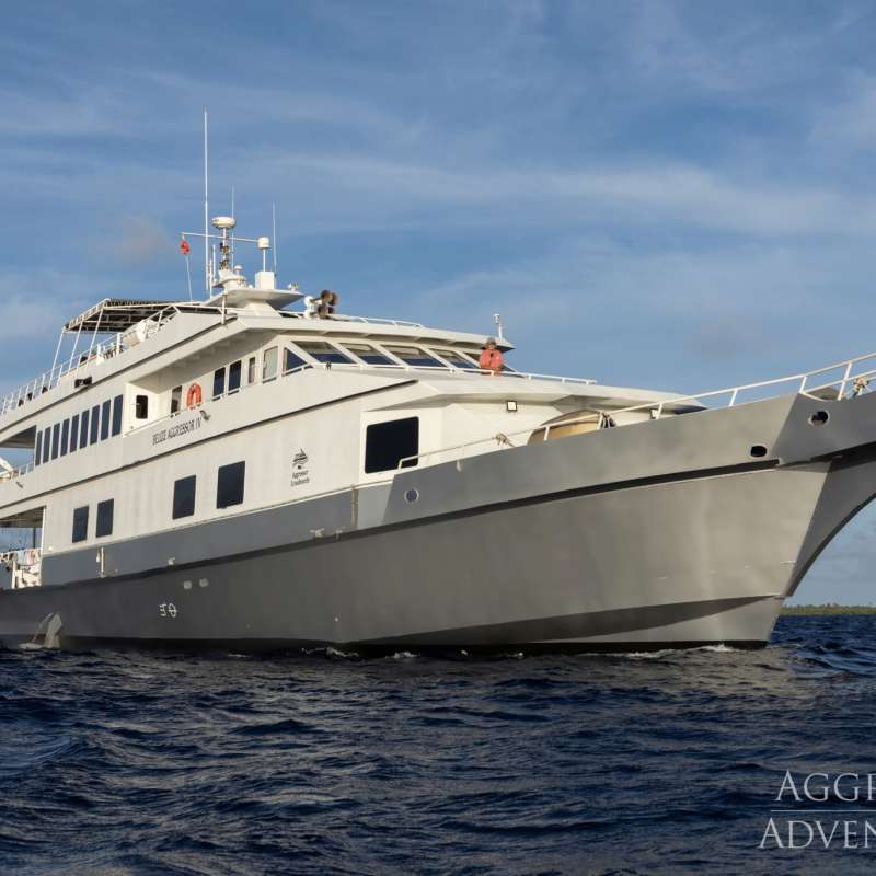Belize Aggressor 4