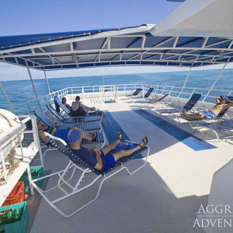 Belize Aggressor 4