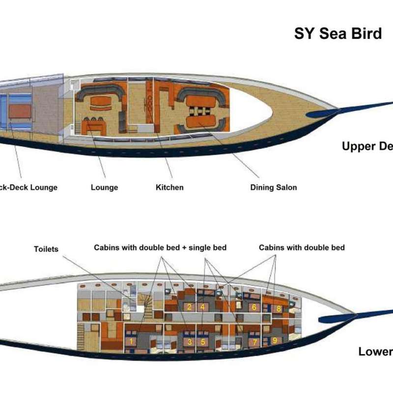 Sea Bird
