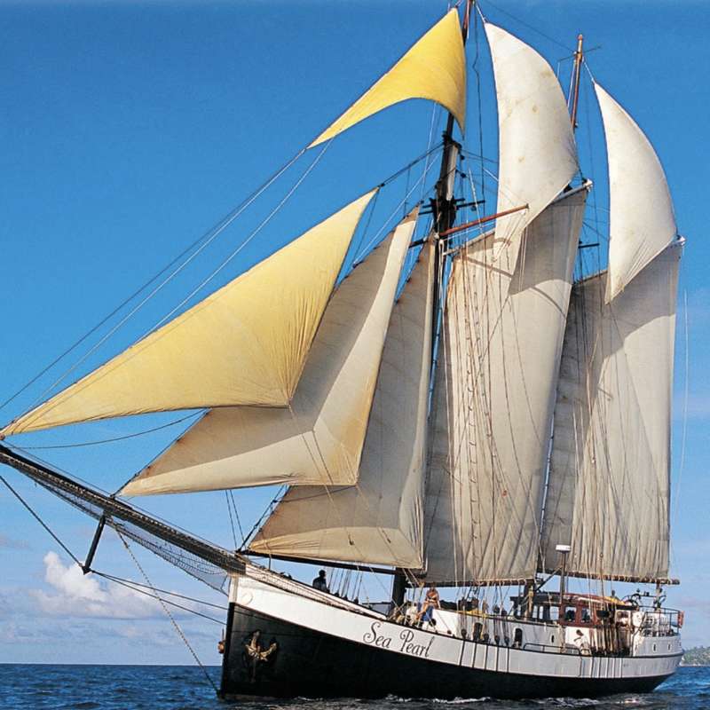Sea Pearl