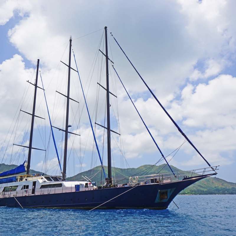 Sea Star