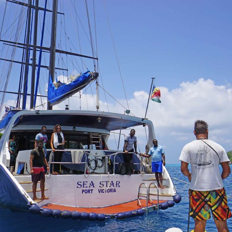 Sea Star